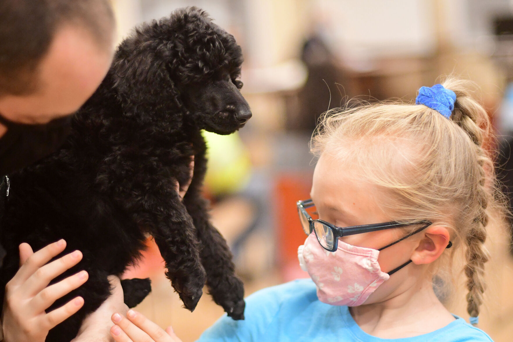 Girl and poodle